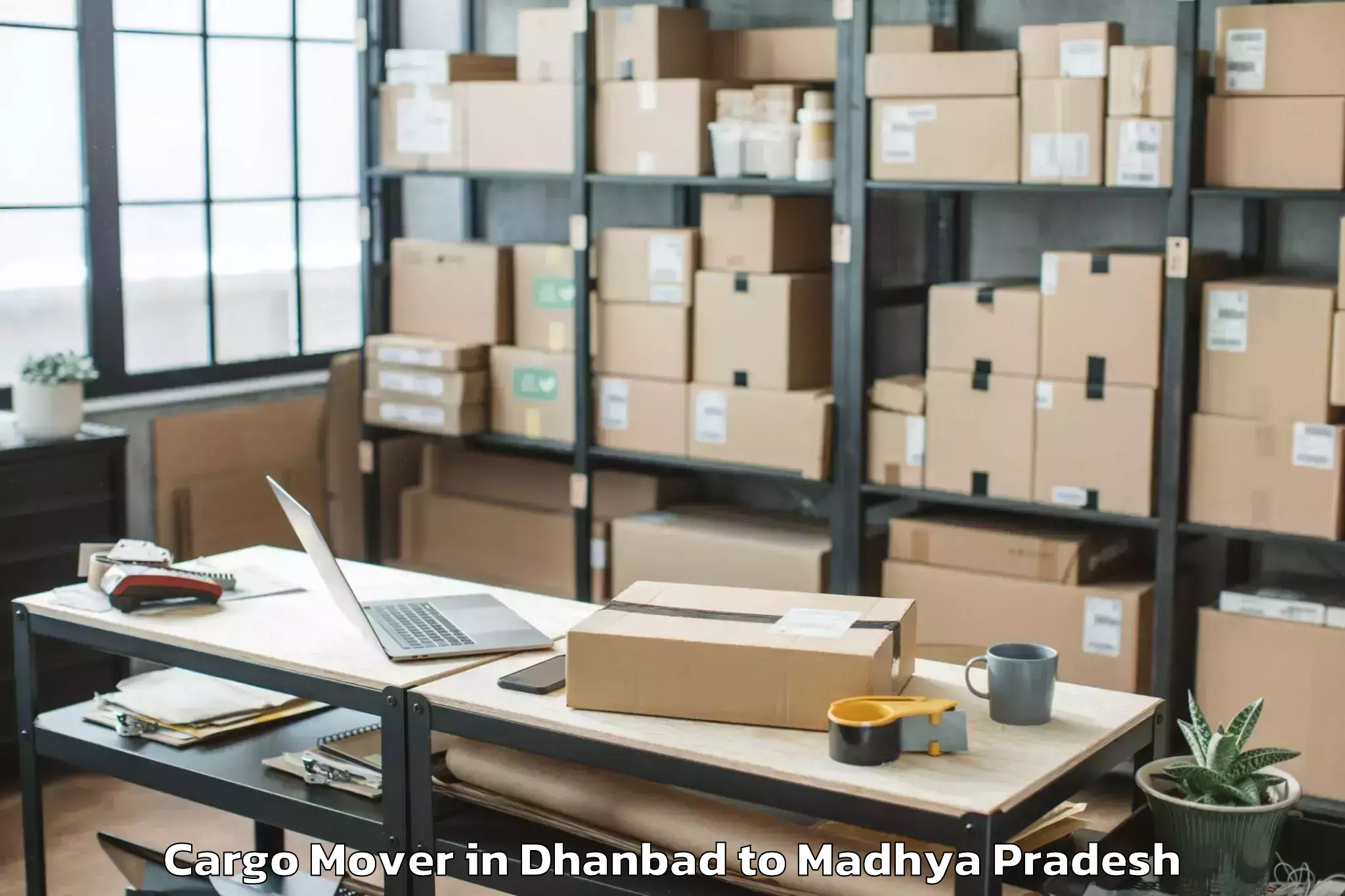 Reliable Dhanbad to Pichhore Cargo Mover